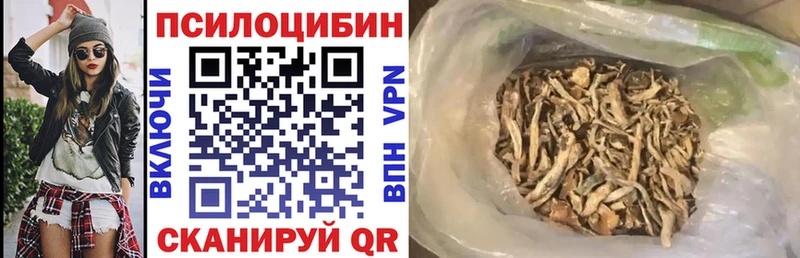 Псилоцибиновые грибы мухоморы блэк спрут ссылка Чкаловск